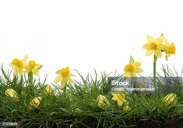 Decoración De Pascua Foto de stock y más banco de imágenes de Amarillo - Color - Amarillo - Color, Blanco - Color, Borde