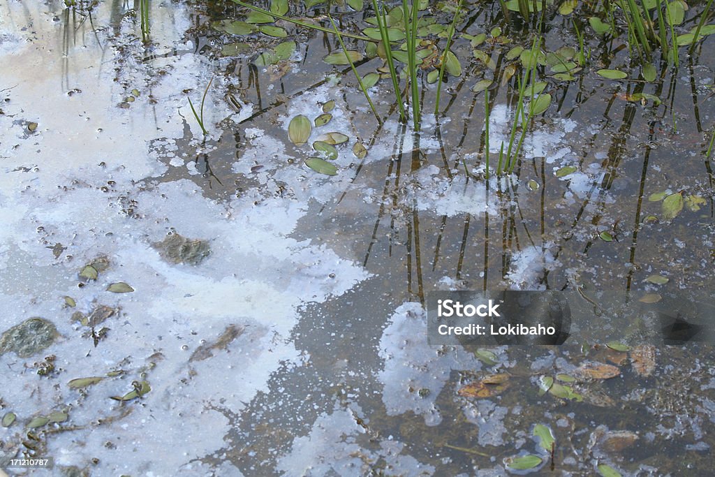 Derrame de óleo no lago - Foto de stock de Destino turístico royalty-free