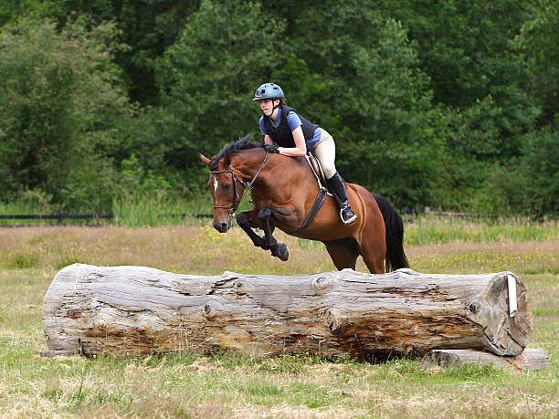 istock Horse & Rider Navigating Log Jump 171211142