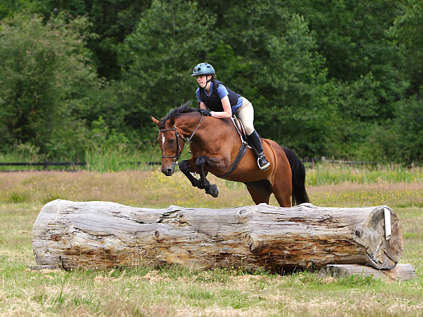 Horse & Rider Navigating Log Jump stock photo