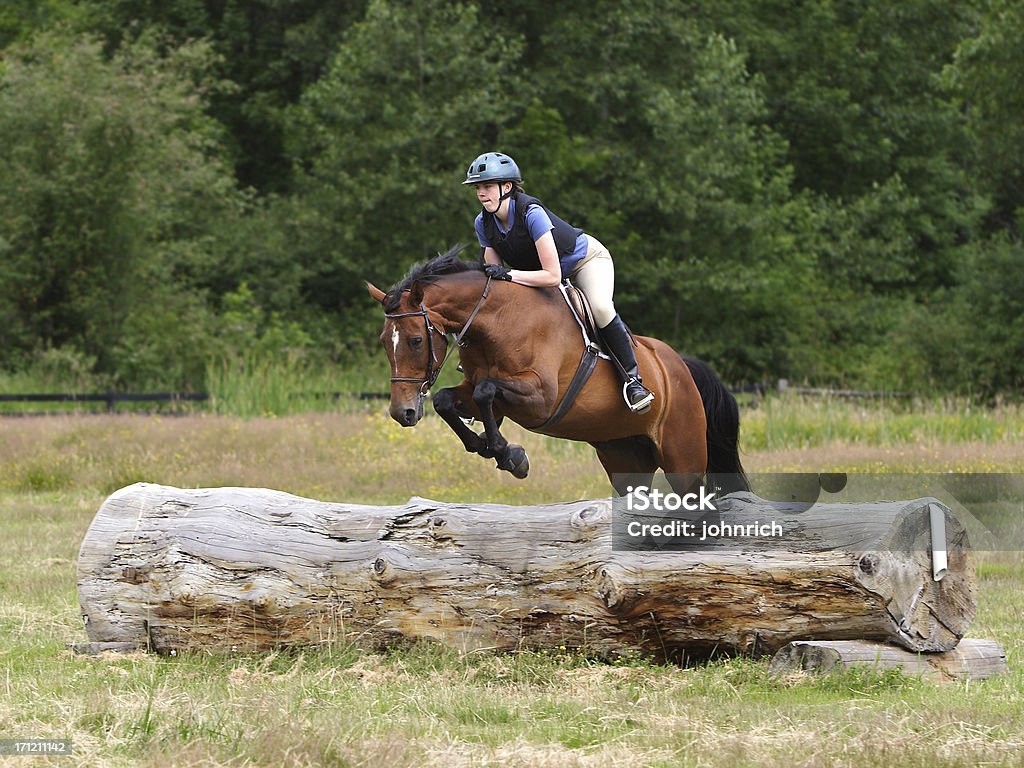 Koń & Rider poruszanie się zalogować Przejdź - Zbiór zdjęć royalty-free (Koń)