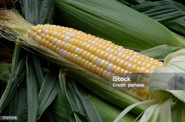 Corn Stock Photo - Download Image Now - Corn - Crop, Silk, Agricultural Field