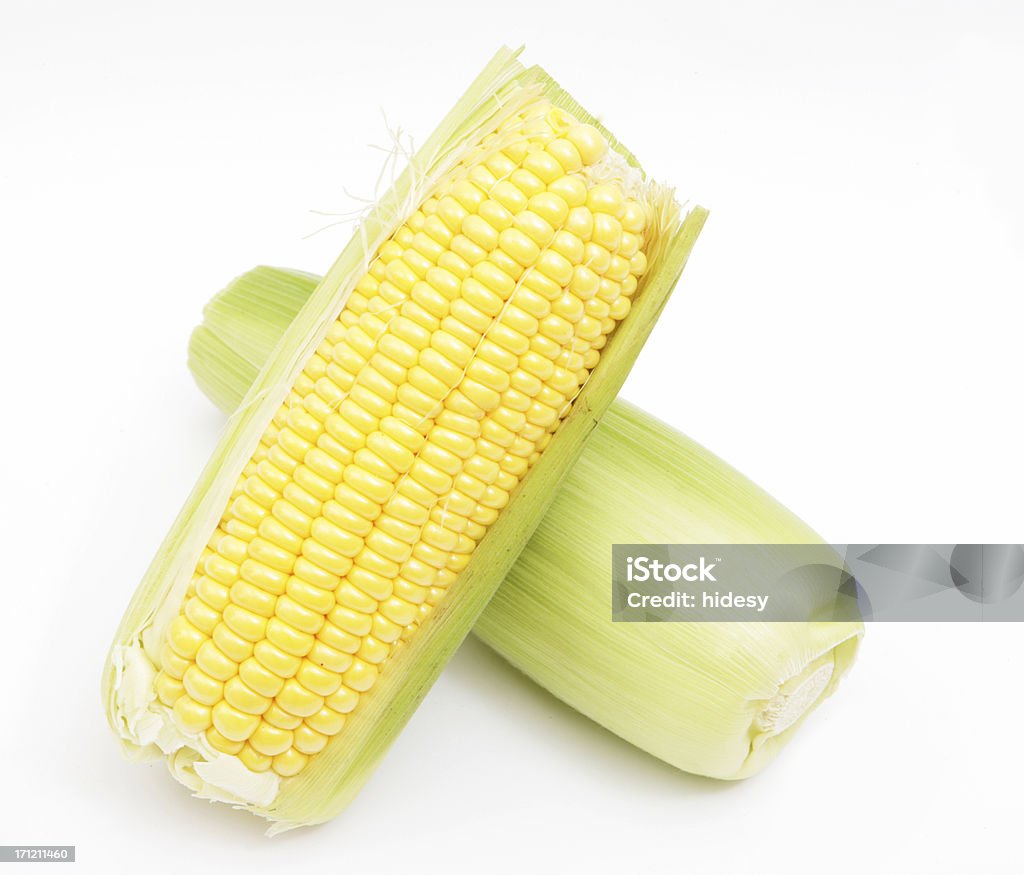 Corn on the Cobs Two ears of corn on white background Copy Space Stock Photo