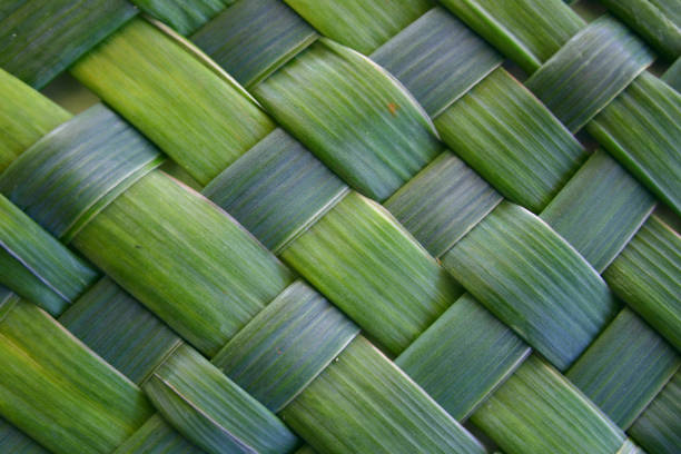 istock lush woven leaves 171211866
