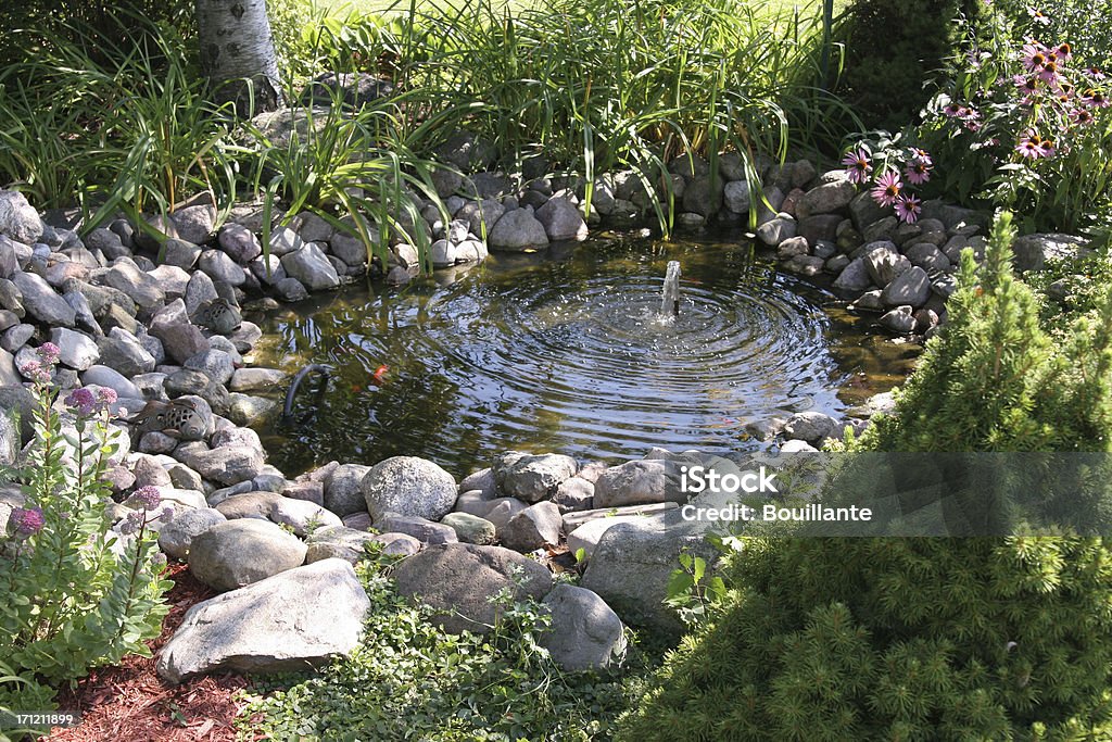 Водный сад - Стоковые фото Пруд роялти-фри