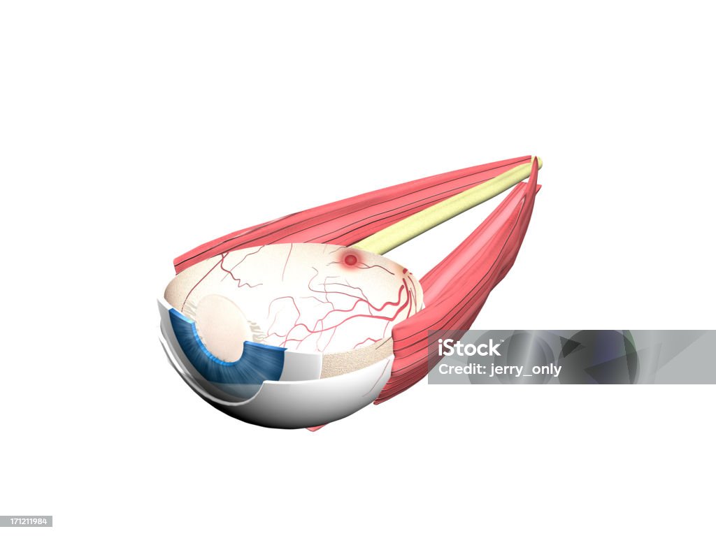 3 d 구조 눈 - 로열티 프리 3차원 형태 스톡 사진