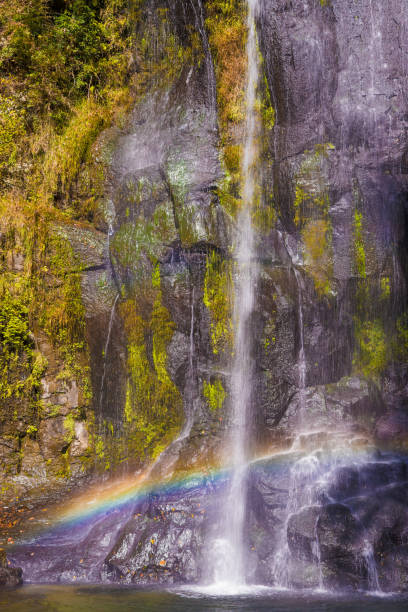 istock Autumn leaves, rainbow and waterfall 1712153410