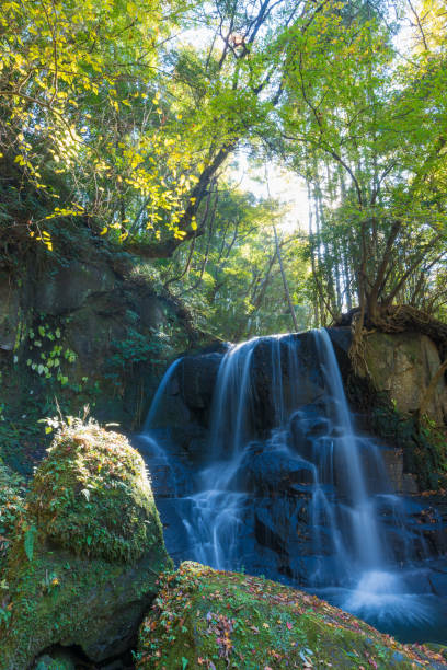 istock Autumn leaves and waterfall 1712154200