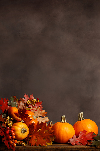 A Thanksgiving still life of pumpkins, gourds, and autumn leaves in front of a dark warm gray background.