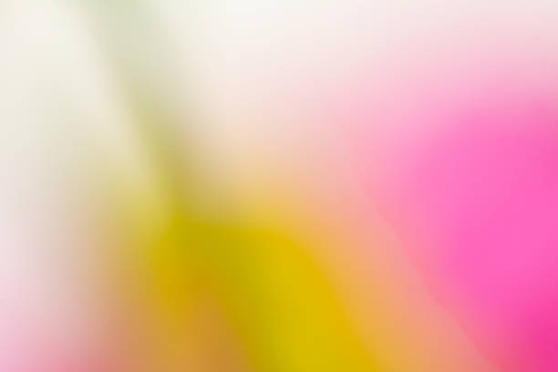Yellow and pink gradient background in natural environment.