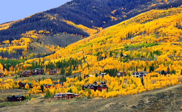 istock Colorado's autumn gold 1712193846