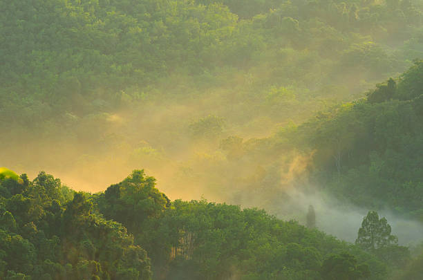 istock Beautiful sunshine at misty morning mountains . 171220410