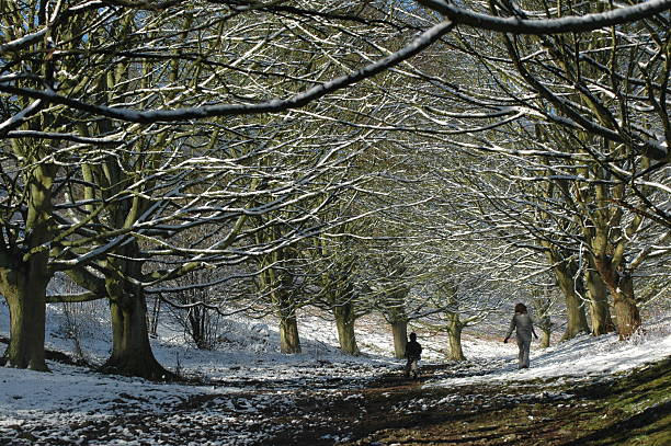 istock Winter Walks on the Malvern Hills 171220531