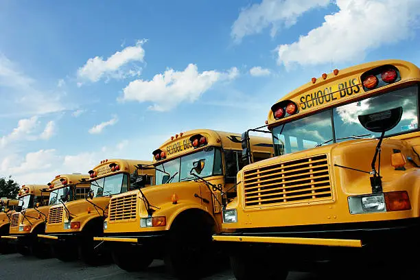 Line of school buses photographed on bright sunny day