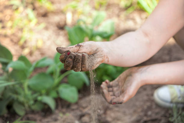 Soil