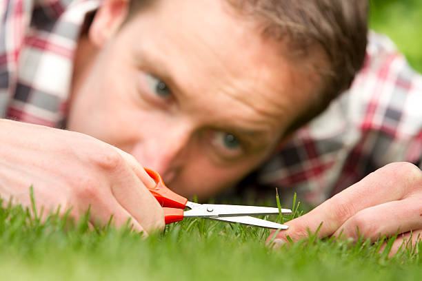 Obsessive man laying on grass, perfection "Man with shear on grass, ocd" obsessive stock pictures, royalty-free photos & images