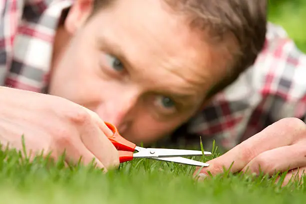 "Man with shear on grass, ocd"