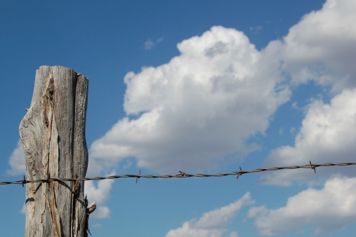 A closeup shot of a wooden pole on a fence with string