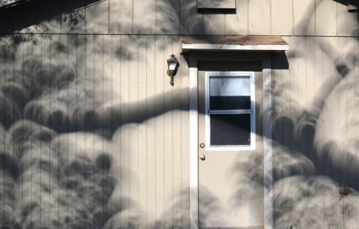 The effect of pinhole lighting through an oak tree projects images of a solar eclipse on an exterior cabin wall.