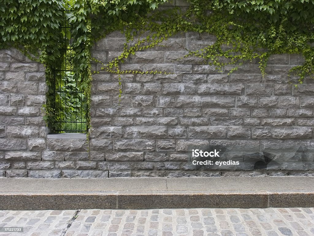 Overgrown Stone Wall An old stone wall is bordered by vines, a sidewalk and a cobblestone street in Old Montreal. Architecture Stock Photo