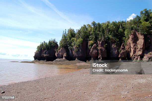 Hopewell Rocce E Costa Bassa Marea - Fotografie stock e altre immagini di Acqua - Acqua, Albero, Ambientazione esterna