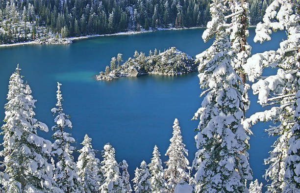 schneebedeckte pines, saphirblauen see - winter woods frost fragility stock-fotos und bilder