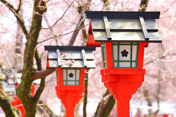 Red japanische Laterne mit sakura – Foto