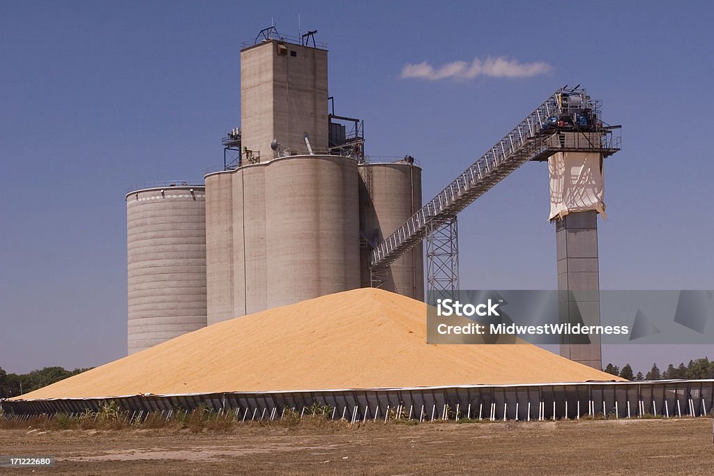 Grain auf der Co-op - Lizenzfrei Getreideheber Stock-Foto