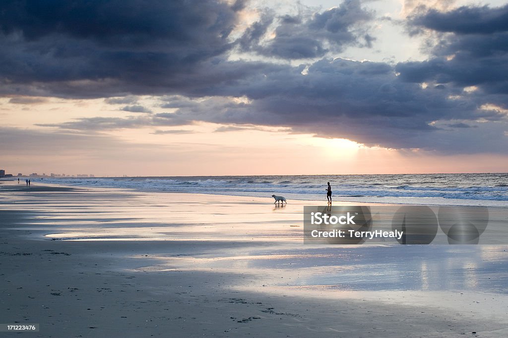 Morning Walk - Horizontal Man walking with dog on beach. Summer Atlantic morning sunrise. Walking Stock Photo