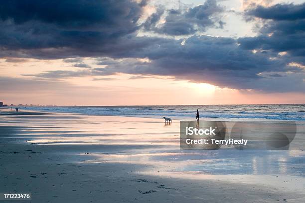 Morning Walk Horizontal Stock Photo - Download Image Now - Walking, Dog, Beach