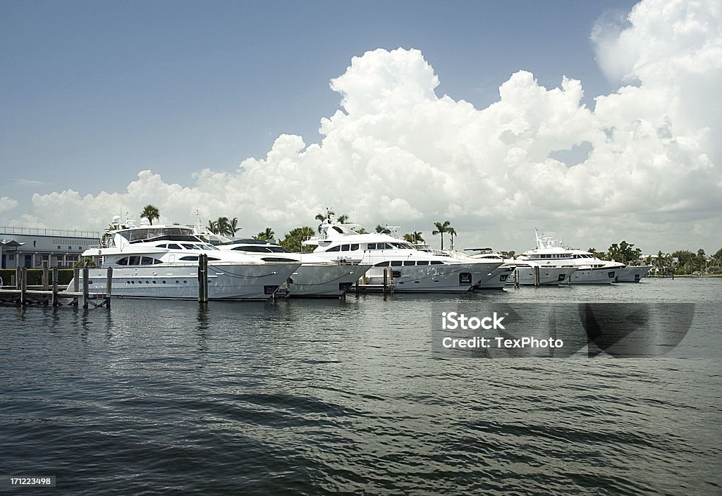 Millionäre-Zeile - Lizenzfrei Fort Lauderdale Stock-Foto