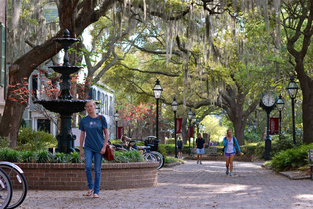 College of Charleston Campus "Charleston, South Carolina, USA - March 28, 2012: Students walk between classes through the middle of the College of Charleston campus late on a Spring day" spanish moss photos stock pictures, royalty-free photos & images