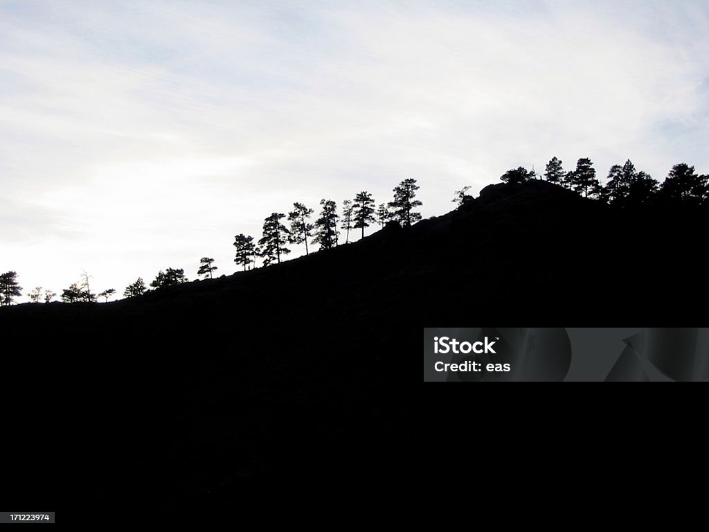 Silhouettes d'arbre - Photo de Arbre libre de droits