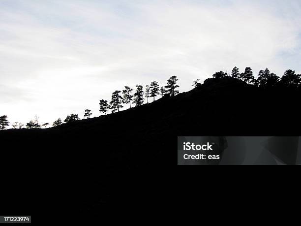 Silhuetas De Árvore - Fotografias de stock e mais imagens de Alívio - Alívio, Caminhada, Com sombra