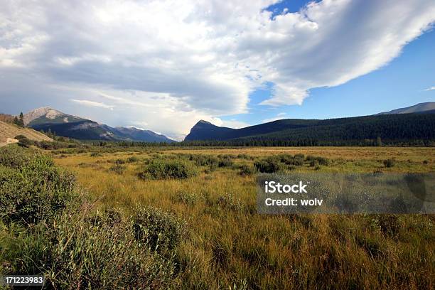 Las Llanuras Serie Uno Foto de stock y más banco de imágenes de Aire libre - Aire libre, Alberta, Altiplanicie