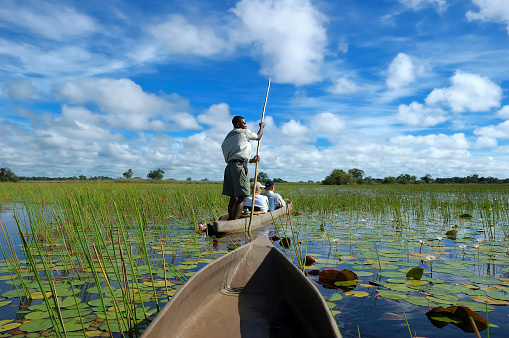 photo was taken on a half day trip in Okavango Delta Botswana, the Delta is the biggest sweatwater reservoir in this area and the water is absolutly clean, summer time is green season with low water, the mokoro are fiberglass replicas of dug out canoes, is easier to build than a genuine dugout, silence there is amazing