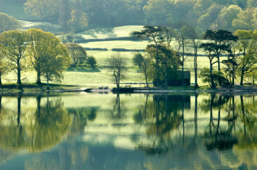 Trees and fields on a bright spring morning reflected in Lake Coniston in the English Lake District