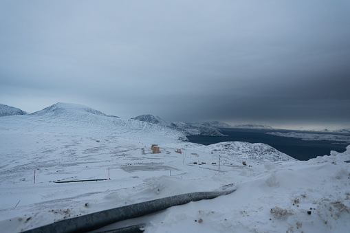 Snowy Labrador views