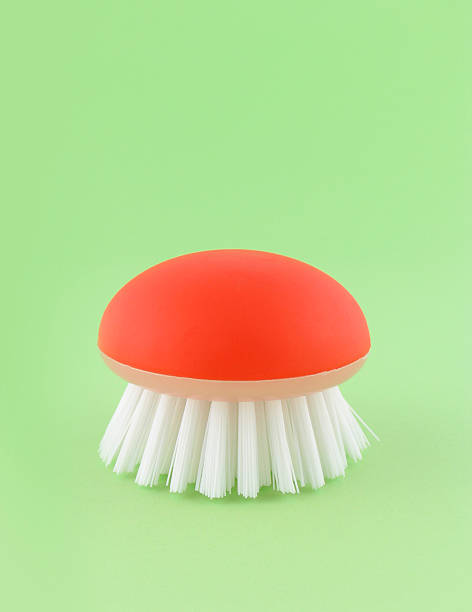 10+ Vegetable Brush Stock Photos, Pictures & Royalty-Free Images - iStock