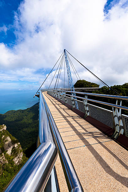 passerelle vue panoramique - tropical rainforest elevated walkway pulau langkawi malaysia photos et images de collection