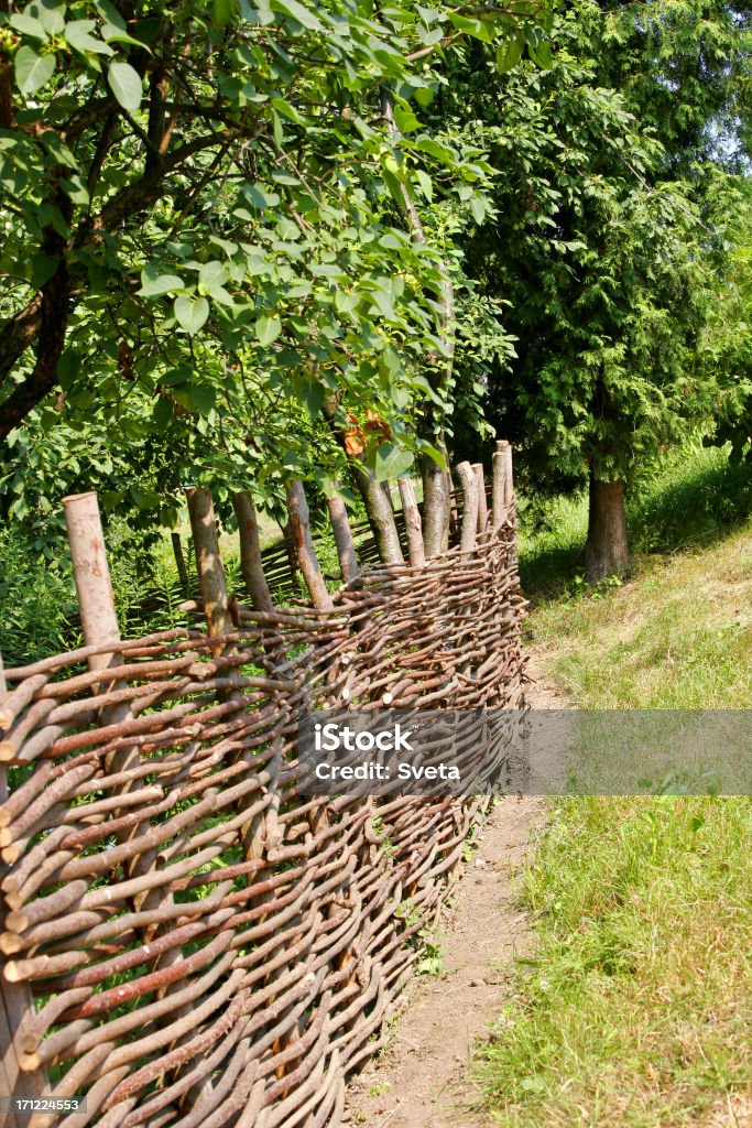 Ostacolo - Foto stock royalty-free di Albero