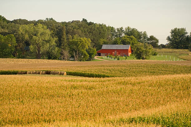 istock Farmstead by the Woods 171224636
