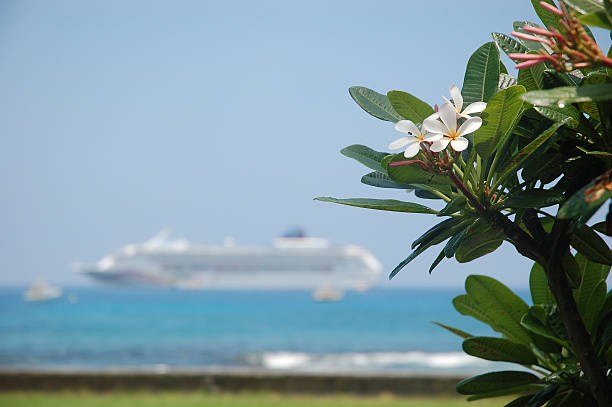 Cruise Ship in Paradise stock photo