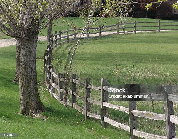 Foto de Muro e mais fotos de stock de Agricultura - Agricultura, Alimentar, Cena Rural