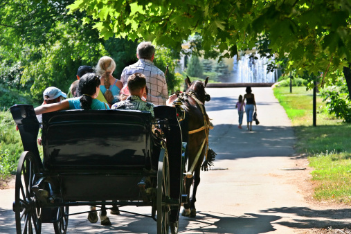 A group of people of all ages riding in a horse-drawn chariot in a park