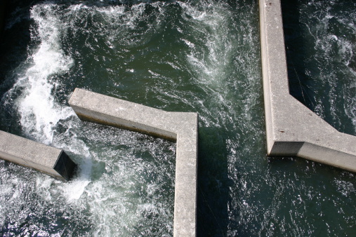 Fish ladder at the Bonneville Dam on the Columbia River separating Washington and Oregon.