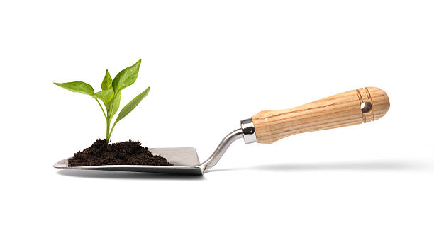 ガーデン移植ごてに包まれた芽が表す希望 - shovel trowel dirt plant ストックフォトと画像