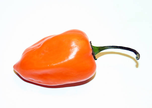 istock habanero chile pepper 171225175