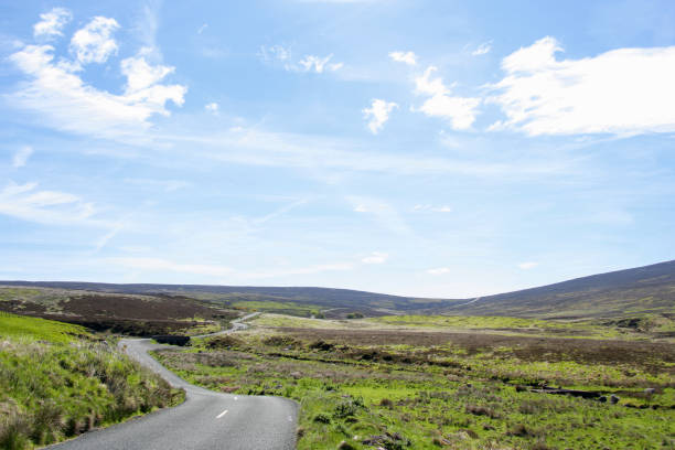 Irish road in the county Wicklow (Sally Gap).For more images from Ireland click below: