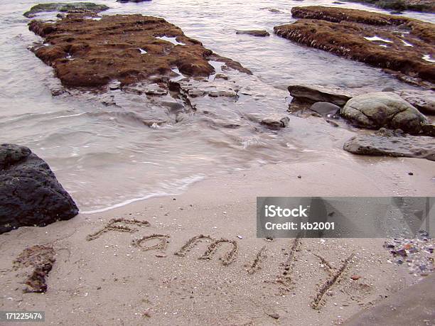 Photo libre de droit de La Plage En Famille banque d'images et plus d'images libres de droit de Cultures - Cultures, Divertissement - Plaisir, Eau